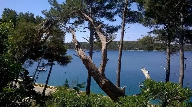 Apart Daire, 1 Çift Kişilik Yatak