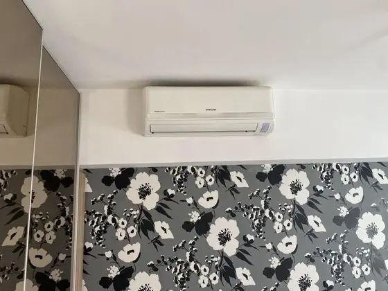 Ev