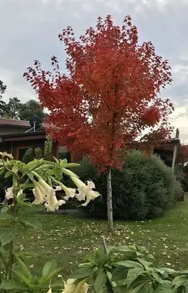 Romantic Villa, 1 En Büyük (King) Boy Yatak, Küvet, Vadi Manzaralı