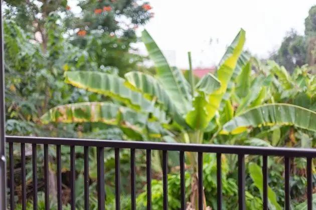 One Bedroom Garden Apartment - type A