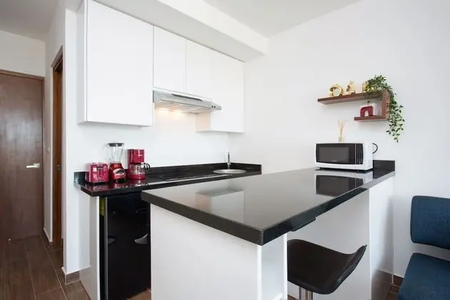 Apart Daire, 1 Yatak Odası, Mikrodalga