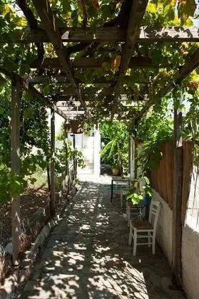 Comfort Stüdyo, 1 Yatak Odası, Bahçe Manzaralı