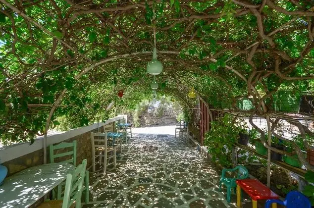 Stüdyo, Bahçe Manzaralı