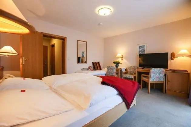 Superior Tek Büyük Yataklı Oda, Banyolu/Duşlu