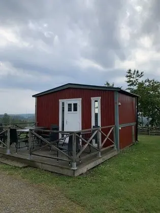 Standard Kulübe