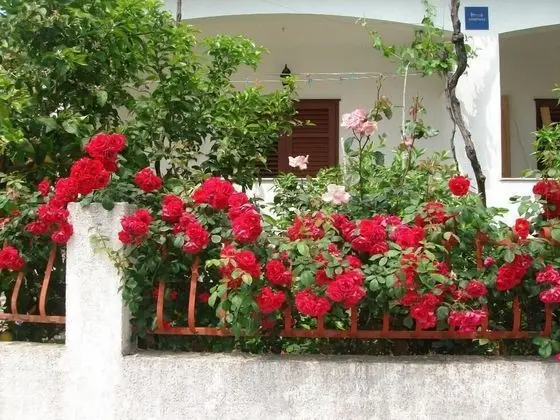 Apart Daire (Stuk- with terrase and close to the s)