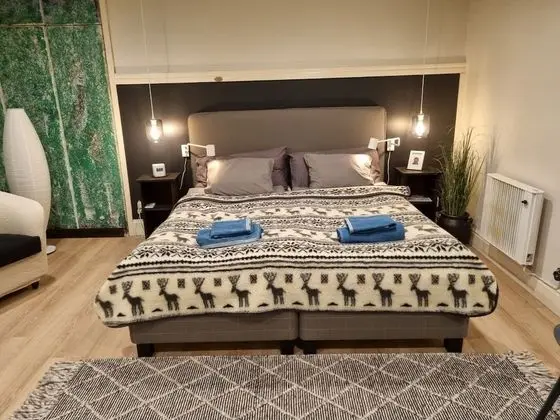 Apart Daire, 1 Büyük (Queen) Boy Yatak