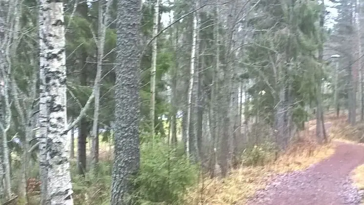 Apart Daire, 1 Büyük (Queen) Boy Yatak