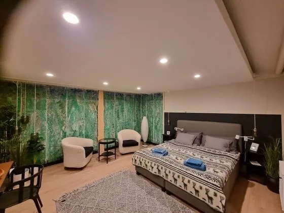 Apart Daire, 1 Büyük (Queen) Boy Yatak