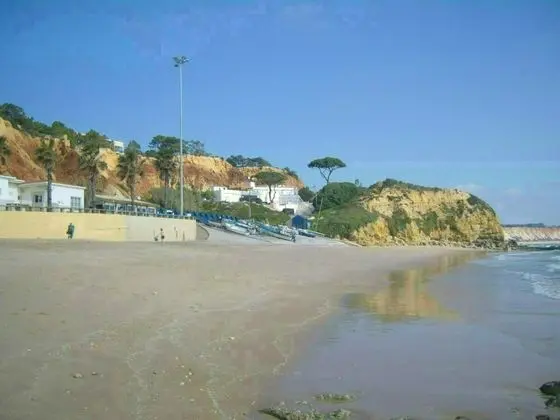 Apart Daire, Birden Çok Yatak