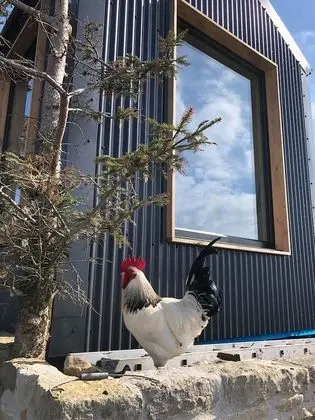Kulübe, 1 Büyük (Queen) Boy Yatak