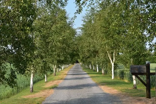 Kır Evi, Birden Çok Yatak