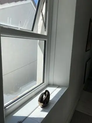 Apart Daire, Birden Çok Yatak
