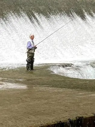 Apart Daire, Birden Çok Yatak