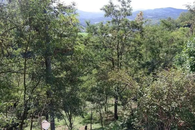 Apart Daire, Birden Çok Yatak