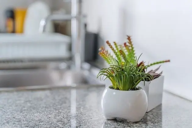 Apart Daire, Birden Çok Yatak