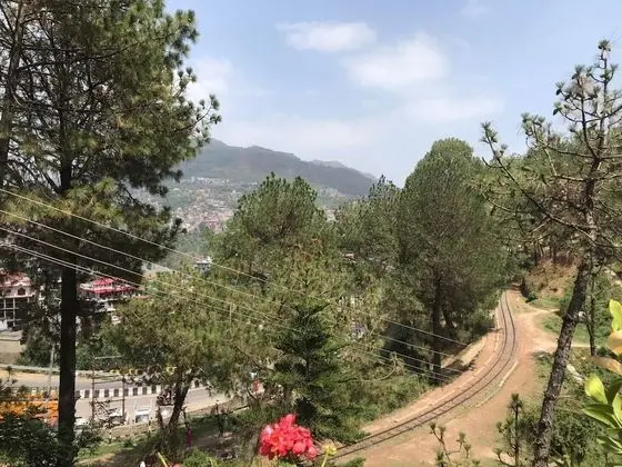 Apart Daire, Birden Çok Yatak