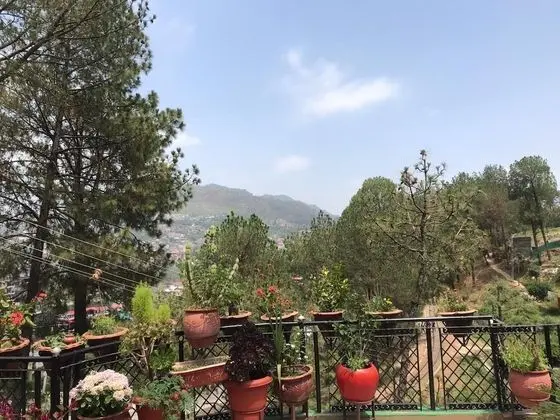 Apart Daire, Birden Çok Yatak