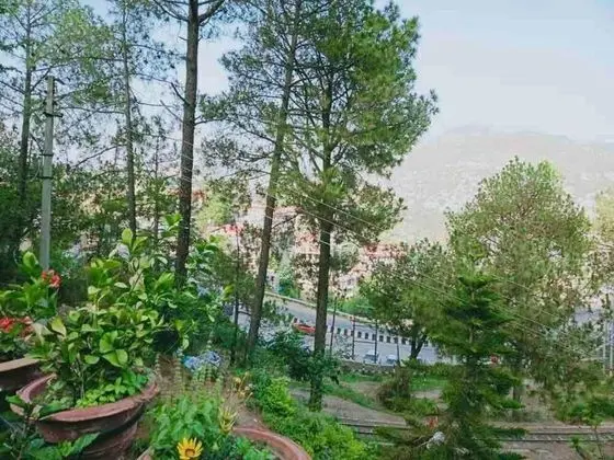 Apart Daire, Birden Çok Yatak