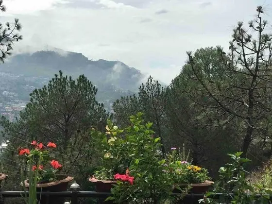 Apart Daire, Birden Çok Yatak
