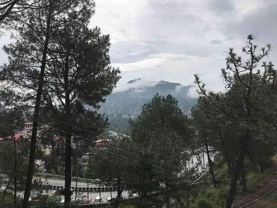 Apart Daire, Birden Çok Yatak
