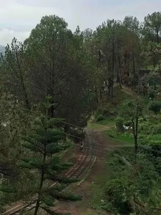 Apart Daire, Birden Çok Yatak