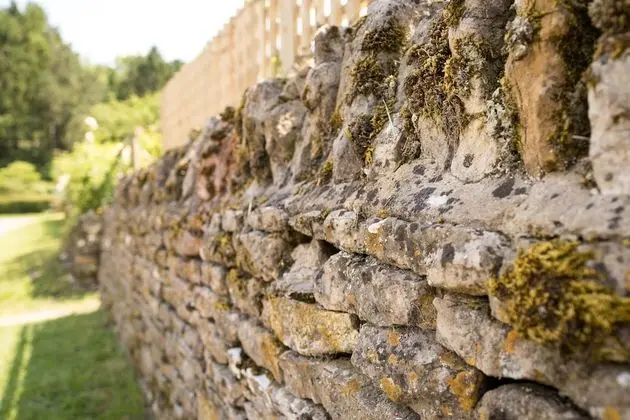 Kır Evi, Birden Çok Yatak