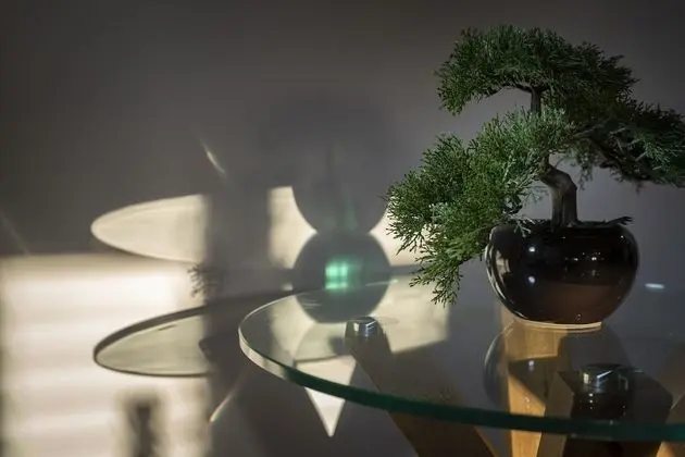 Ev