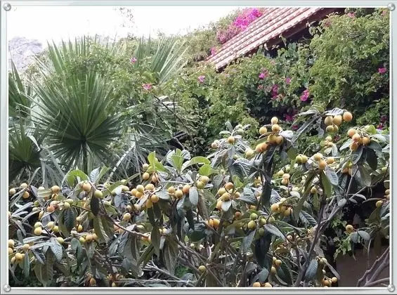 Kır Evi, Birden Çok Yatak