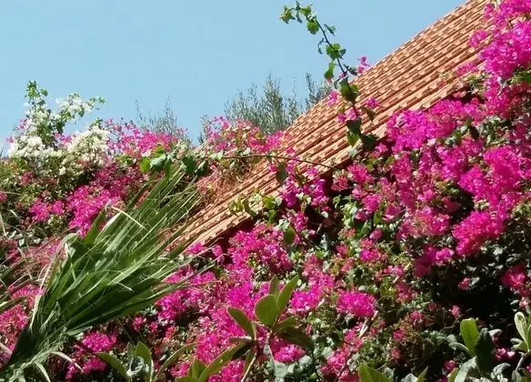 Kır Evi, Birden Çok Yatak