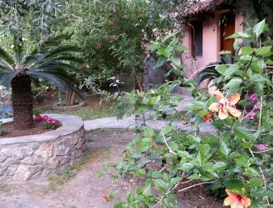 Kır Evi, Birden Çok Yatak
