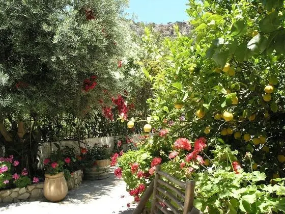 Kır Evi, Birden Çok Yatak