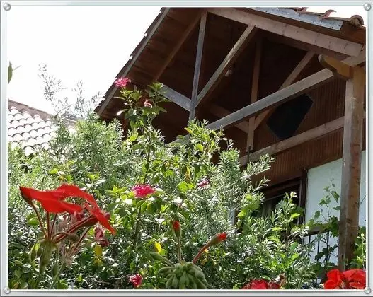 Kır Evi, Birden Çok Yatak