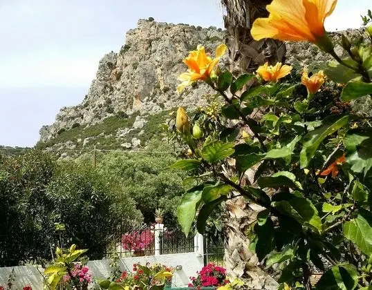 Kır Evi, Birden Çok Yatak