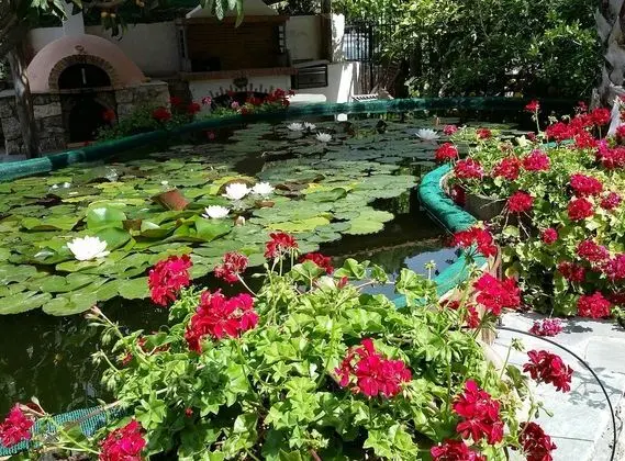 Kır Evi, Birden Çok Yatak