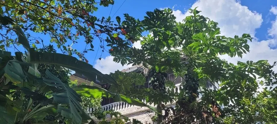 Villa, Birden Çok Yatak
