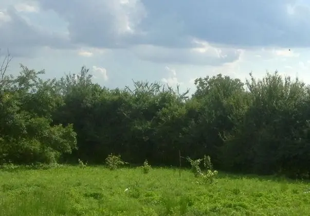 Villa, Birden Çok Yatak