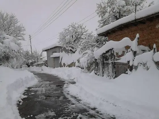Villa, Birden Çok Yatak