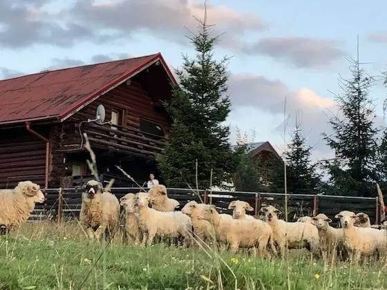 Dağ Evi, Birden Çok Yatak
