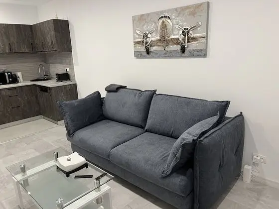 Presidential Çatı Katı Süiti (Penthouse)
