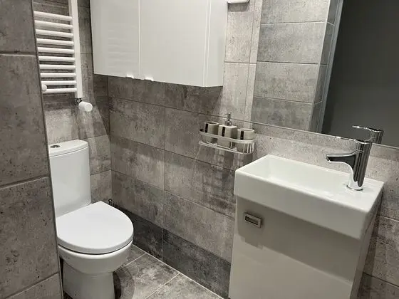 Presidential Çatı Katı Süiti (Penthouse)