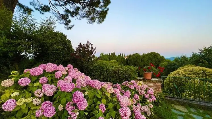 Villa, Birden Çok Yatak