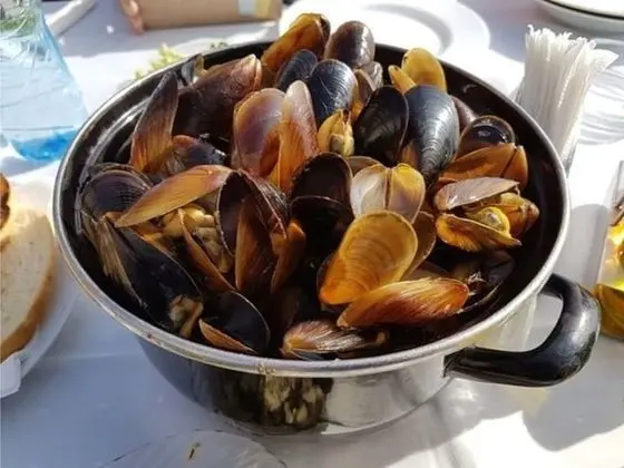 Apart Daire, 1 En Büyük (King) Boy Yatak ve Çekyat