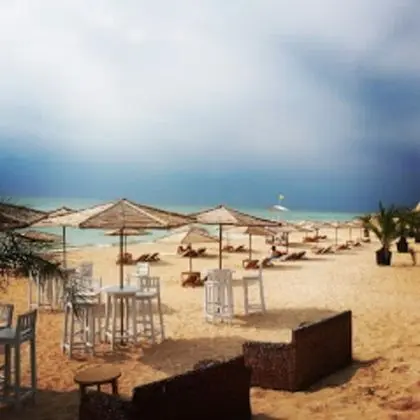 Apart Daire, 1 En Büyük (King) Boy Yatak ve Çekyat