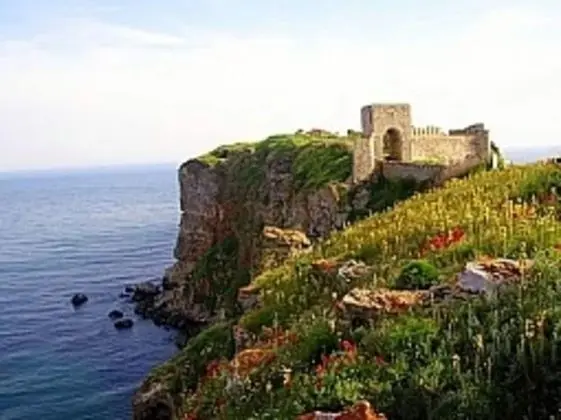 Apart Daire, 1 En Büyük (King) Boy Yatak ve Çekyat