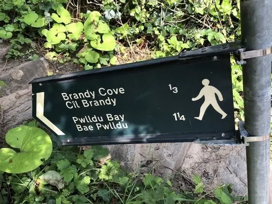 Apart Daire, Birden Çok Yatak