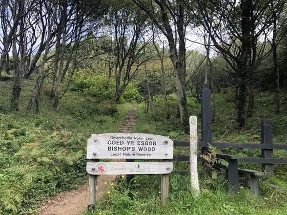 Apart Daire, Birden Çok Yatak