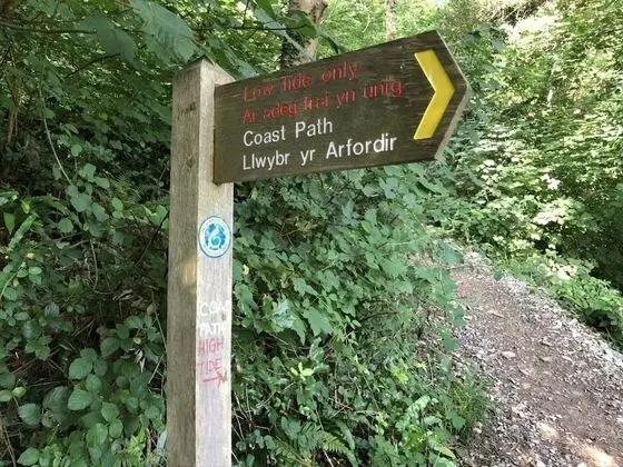 Apart Daire, Birden Çok Yatak