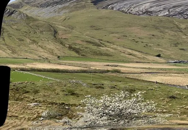 Kır Evi, Birden Çok Yatak