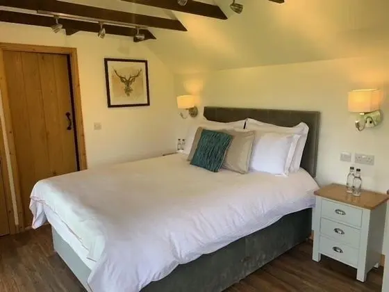 Villa, Birden Çok Yatak